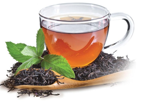 CƠ HỘI KINH DOANH